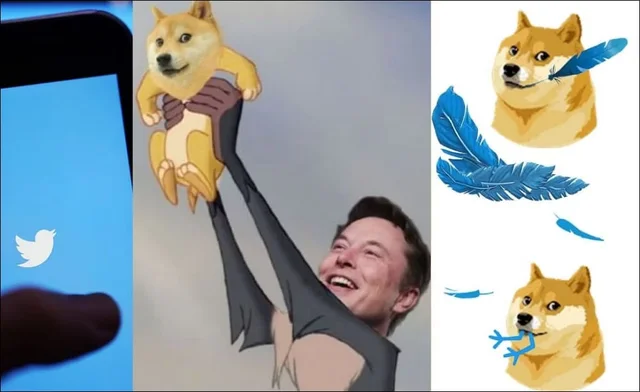 Возвращение оригинального логотипа Twitter привело к падению курса DOGE на 10%