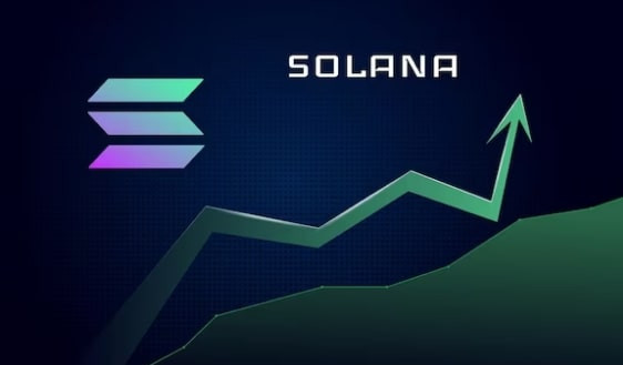 Логотип Solana на фоне растущего графика популярности