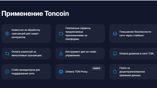 Графическое изображение с перечислением возможностей Toncoin