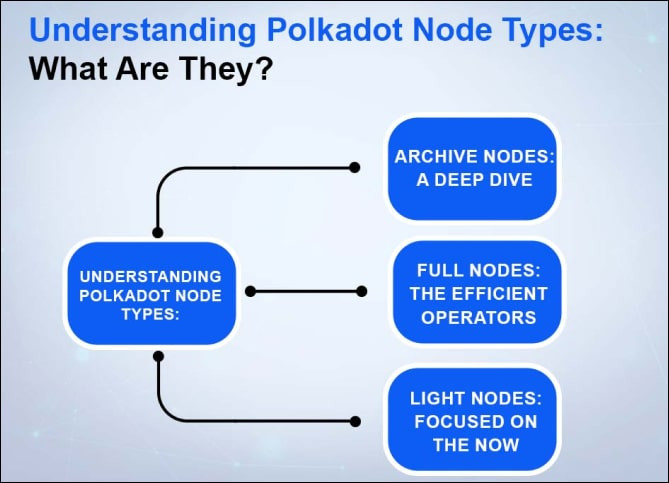 Типы нод в сети Polkadot